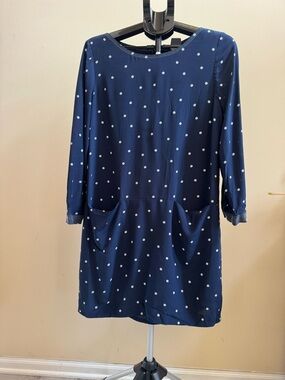 J. Crew Navy and White Polka Dot Long Sleeve Shift Dress